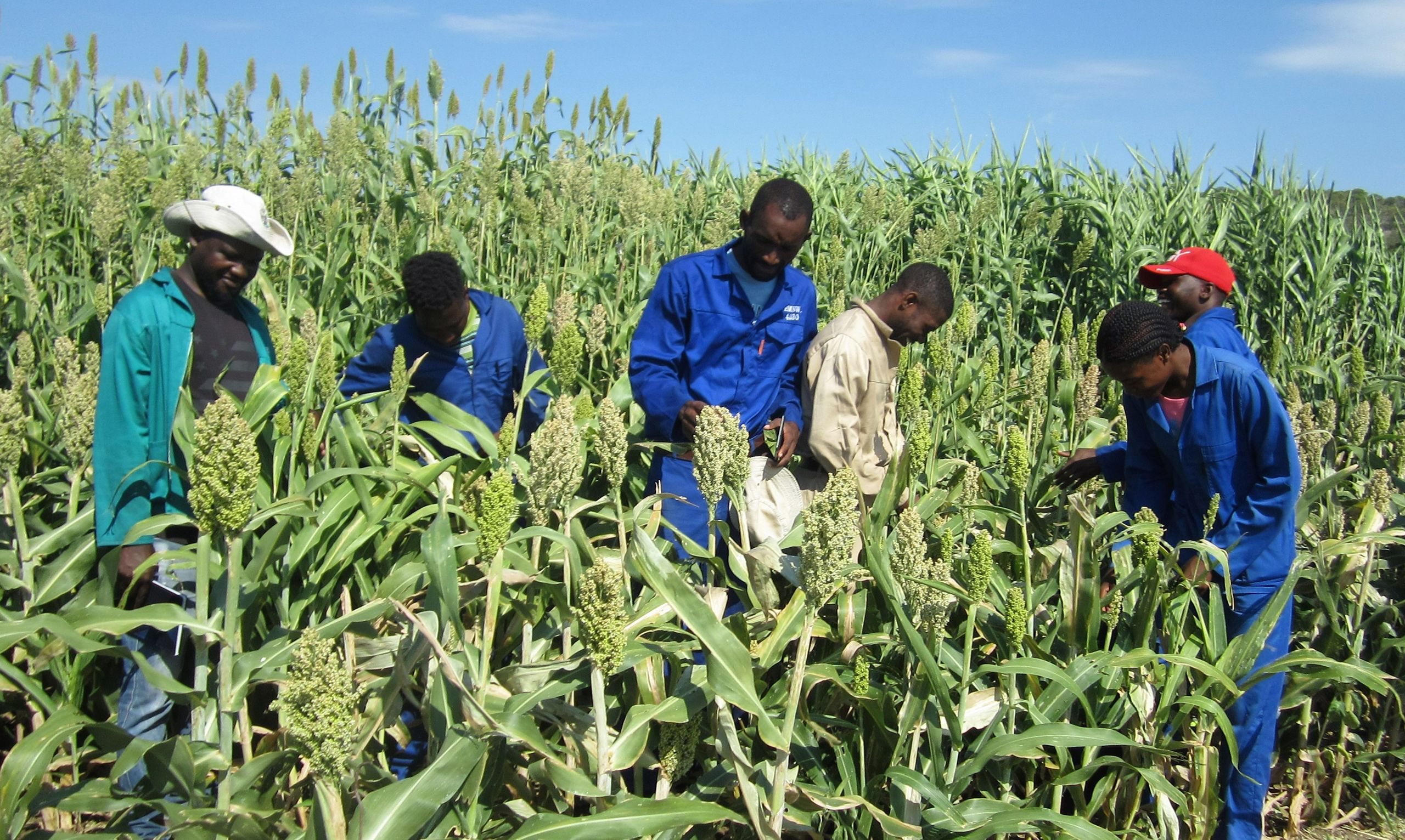 Namibia Conserves Water And Improves Harvests Using Nuclear Science